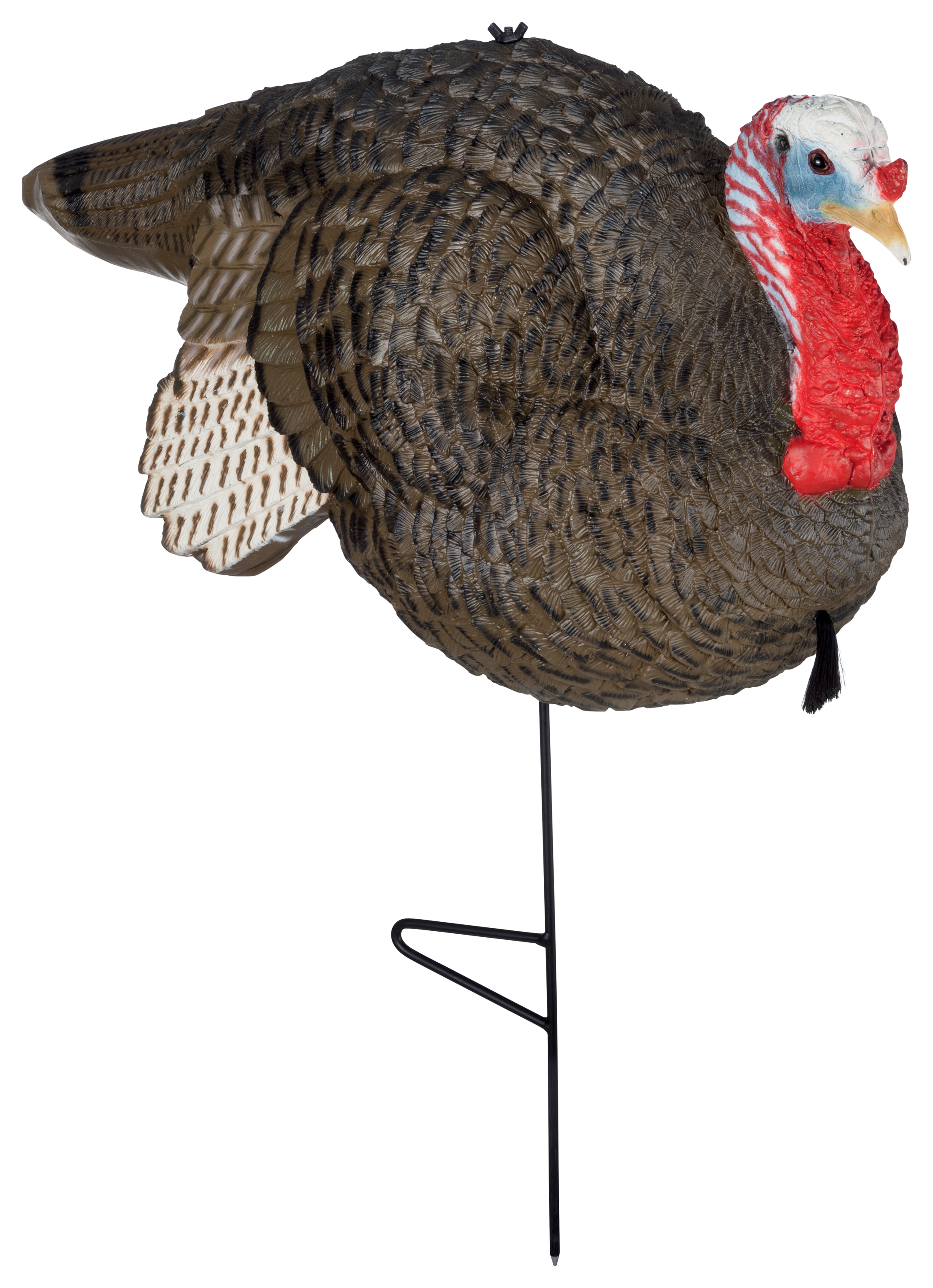 Primos Gobstopper Jake Turkey Decoy Bass Pro Shops